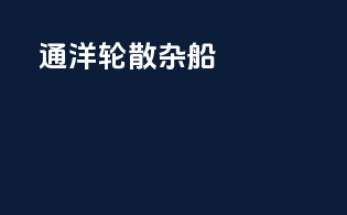 通洋轮散杂船