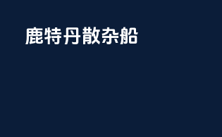 鹿特丹散杂船