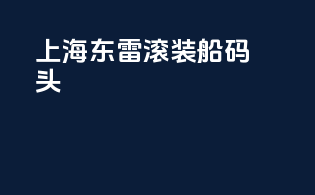 上海东雷滚装船码头