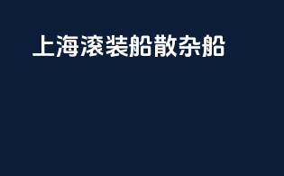 上海滚装船散杂船