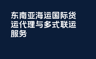东南亚海运国际货运代理与多式联运服务