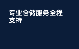 专业仓储服务全程支持