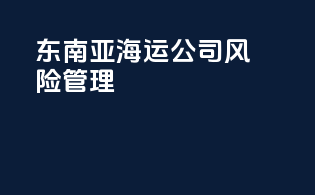 东南亚海运公司风险管理