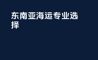 东南亚海运，专业选择