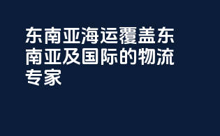 东南亚海运：覆盖东南亚及国际的物流专家