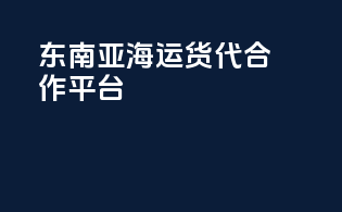 东南亚海运货代合作平台
