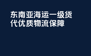 东南亚海运一级货代，优质物流保障