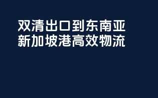 双清出口到东南亚，新加坡港高效物流