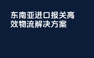 东南亚进口报关，高效物流解决方案