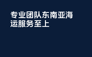 专业团队，东南亚海运服务至上
