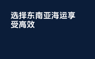 选择东南亚海运，享受高效