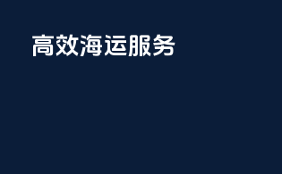 高效海运服务