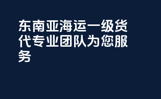 东南亚海运一级货代，专业团队为您服务
