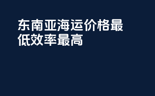 东南亚海运价格最低，效率最高