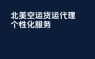 北美空运货运代理个性化服务