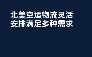 北美空运物流：灵活安排，满足多种需求