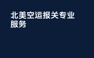 北美空运报关，CanadaPost&CanadaCustom专业服务