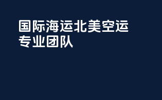 国际海运北美空运专业团队