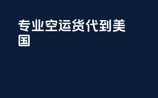 专业空运货代到美国