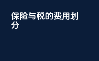 保险与customs税的费用划分