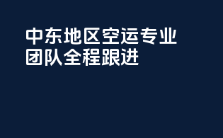 中东地区空运，专业团队，全程跟进