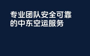 专业团队，安全可靠的中东空运服务