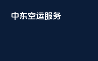 中东空运服务