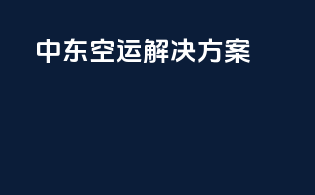 中东空运解决方案