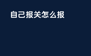 自己报关怎么报