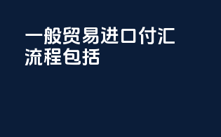 一般贸易进口付汇流程包括