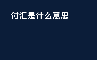 付汇是什么意思