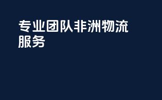 专业团队，非洲物流服务excellence