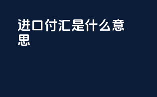 进口付汇是什么意思