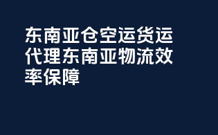 东南亚FBA仓空运货运代理，东南亚物流效率保障