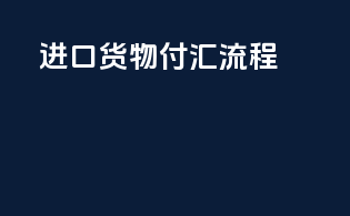 进口货物付汇流程