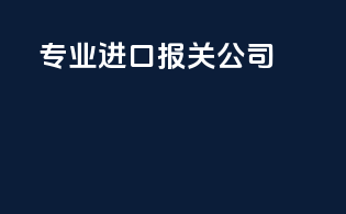 专业进口报关公司