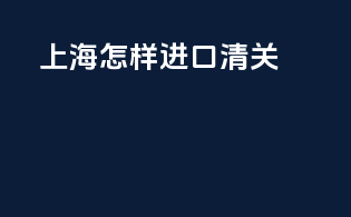 上海怎样进口清关