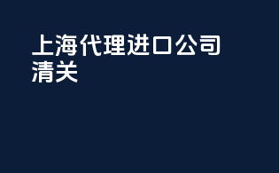 上海代理进口公司清关