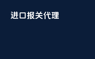 进口报关代理