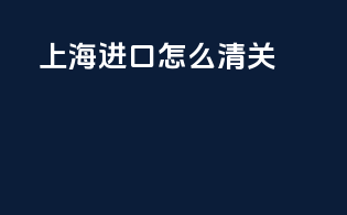 上海进口怎么清关