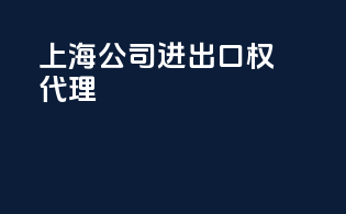 上海公司进出口权代理