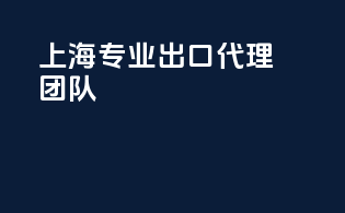 上海专业出口代理团队