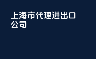 上海市代理进出口公司