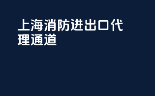 上海消防进出口代理通道