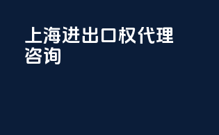 上海进出口权代理咨询