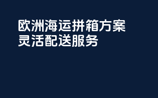 欧洲海运拼箱方案，灵活配送服务