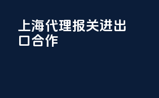 上海代理报关进出口合作