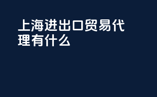 上海进出口贸易代理有什么