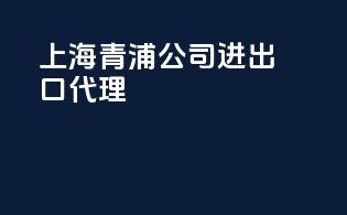 上海青浦公司进出口代理