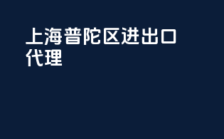 上海普陀区进出口代理